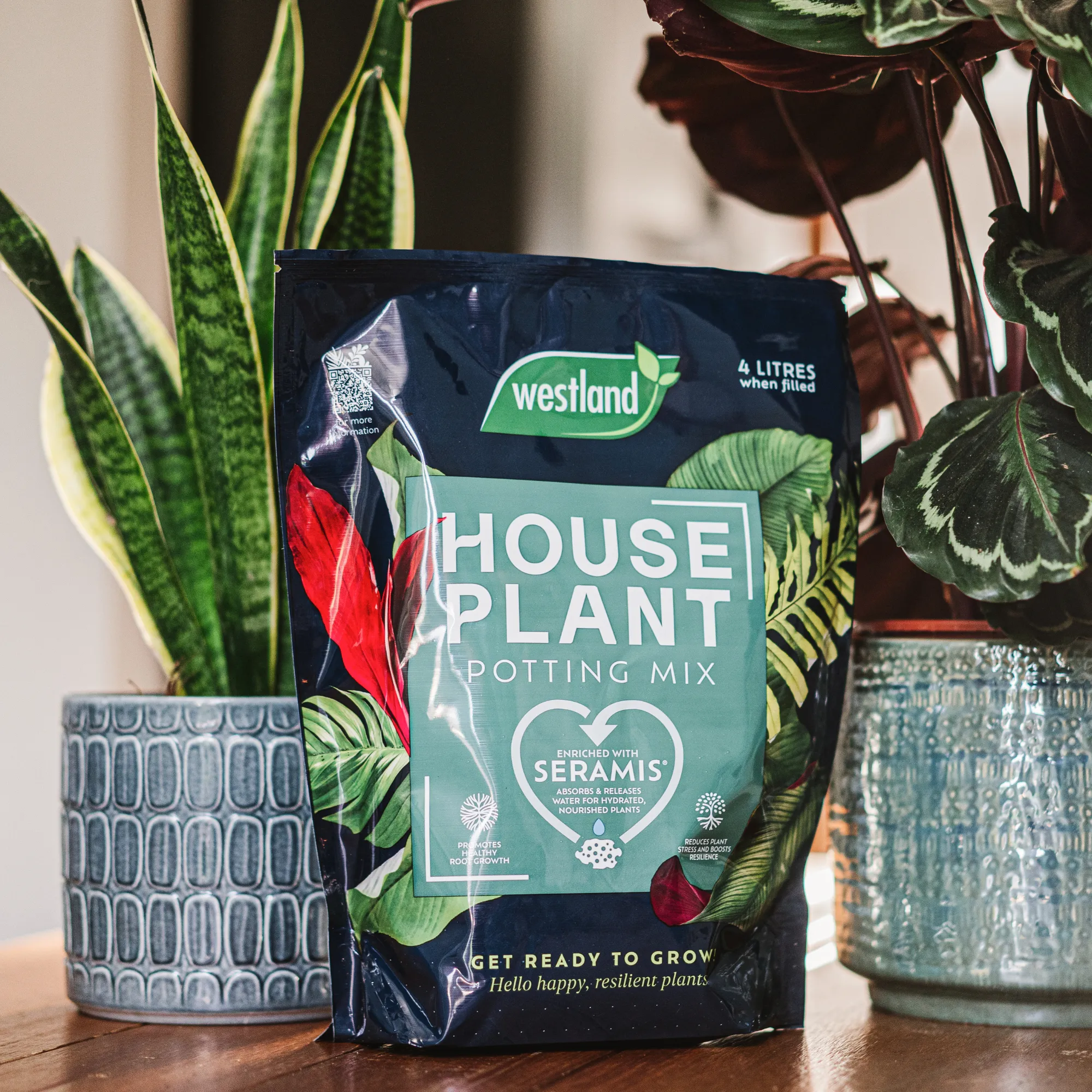 Add-on House Plant Potting Mix 4ltr