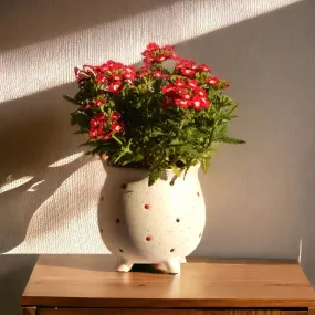 Ceramic Plant Pot