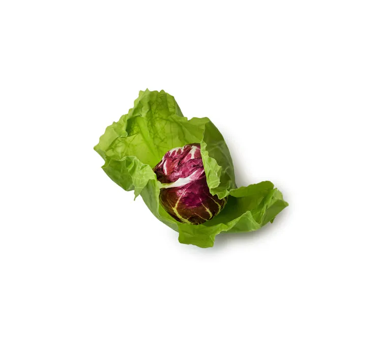 Set of 3 Medium Food Wraps