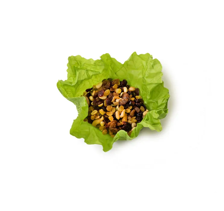 Set of 3 Medium Food Wraps