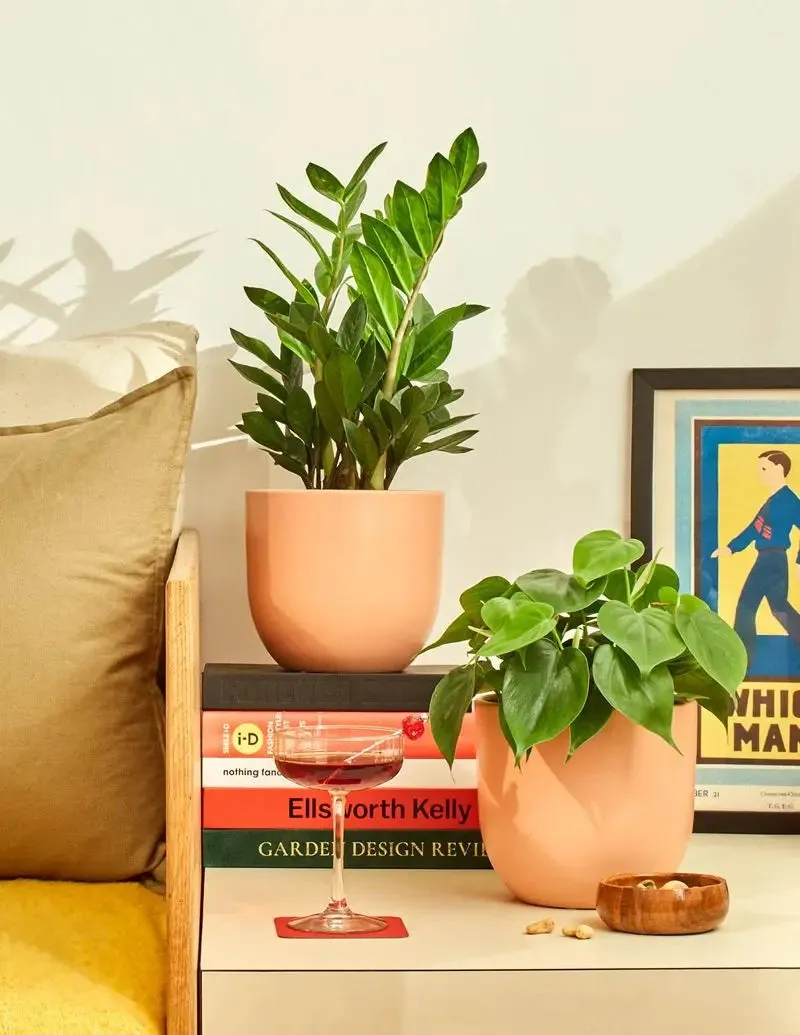 Small Grant Planter - Terracotta Red Clay