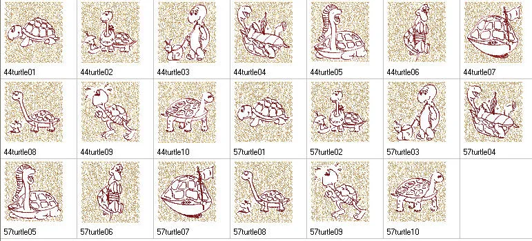 Trapunto Turtle Time Combo